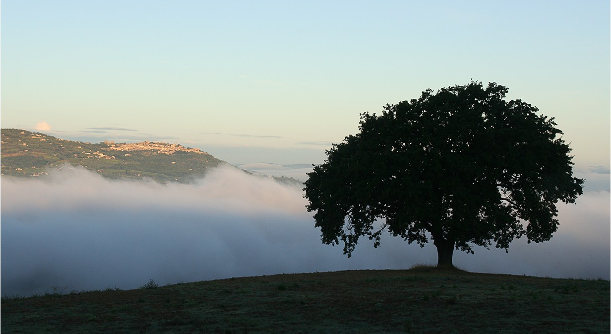 Montalcino